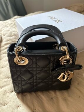 My Small Lady Dior Abc Bag - New 2026